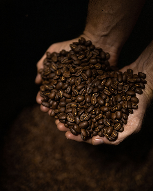a coffee roaster holds roasted beans in his hands