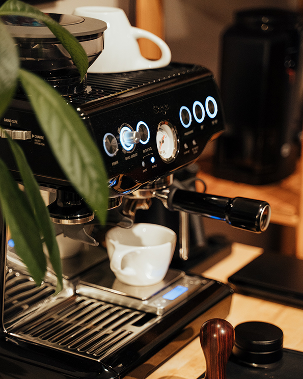 an espresso cup sits on an espresso machine by a plant