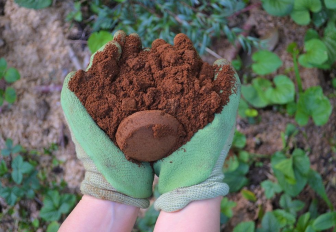 coffee grounds for the garden as compost